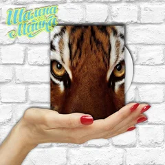  Animals 046 Тигр 04